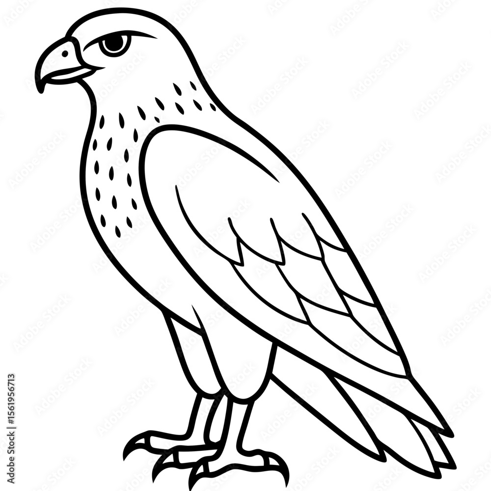Obraz premium Hawk line art vector
