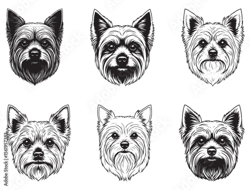 YORKSHIRE TERRIER FACE SILHOUETTE