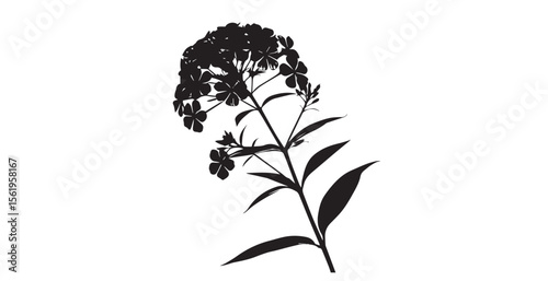 Delicate black and white flower silhouette with detailed petals and leaves