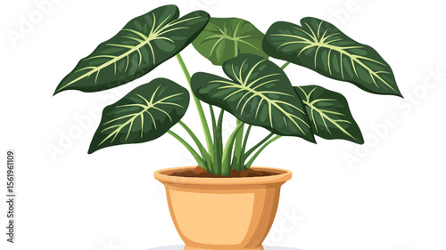 Lush Alocasia Zebrina: Green Houseplant in Stylish Pot for Interior Decor