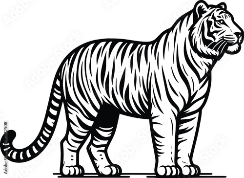 Majestic tiger silhouette vector illustration isolated on a white background
