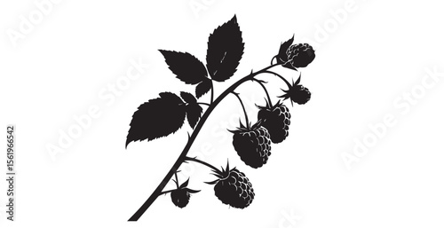 Black silhouette of a raspberry branch with ripe berries and leaves