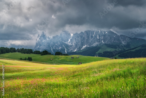 Wonderful summer alpine lan...