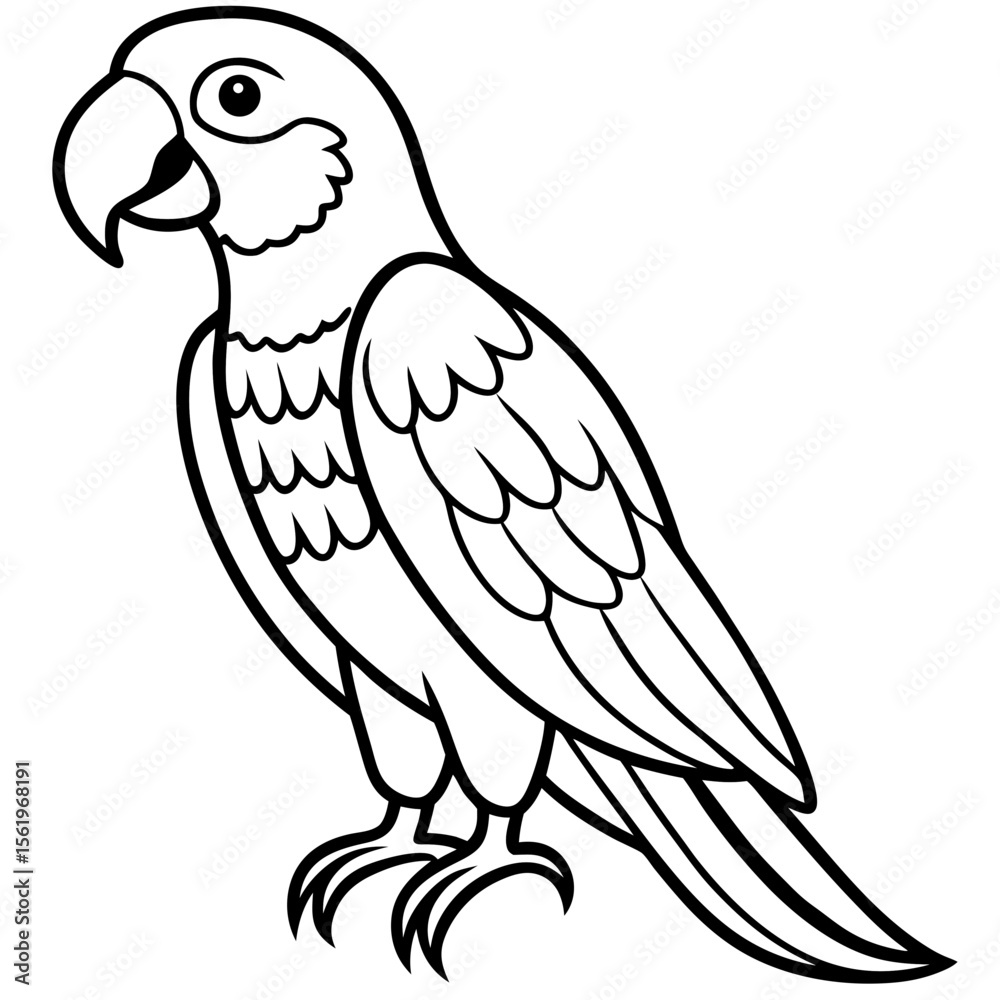 Fototapeta premium Macaw line art vector