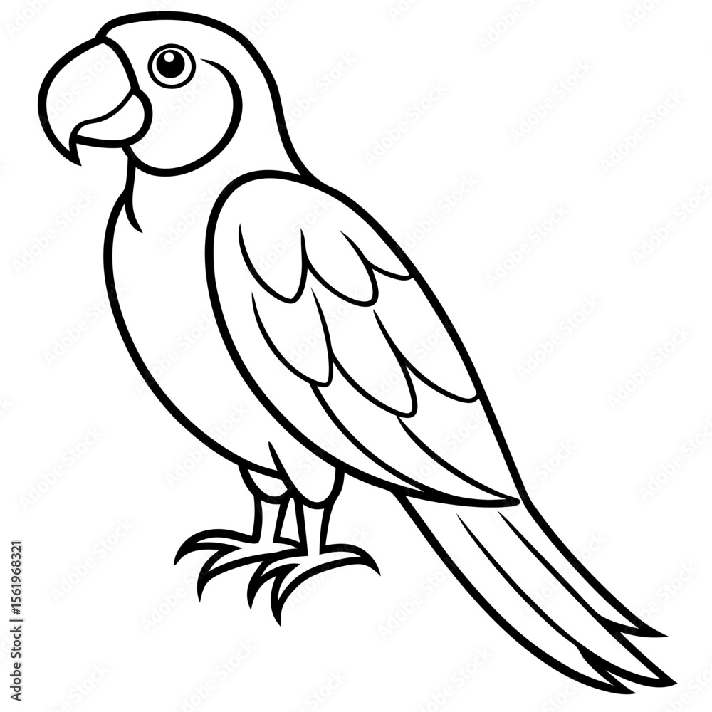 Fototapeta premium Macaw line art vector