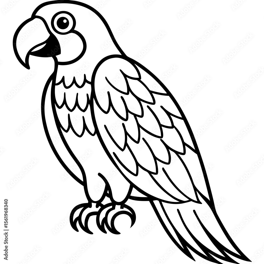 Macaw line art vector Macaw line art vector