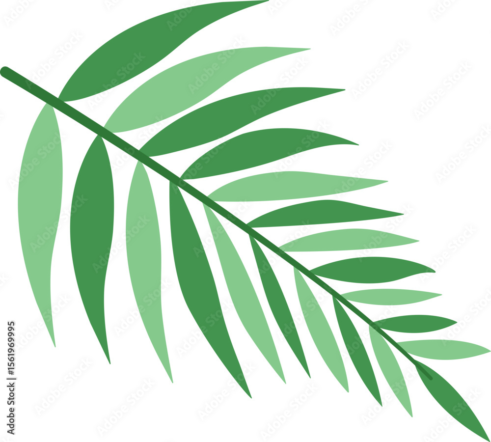 Fototapeta premium Tropical Palm Leaf Illustration Perfect for Spring and Summer Background Decor