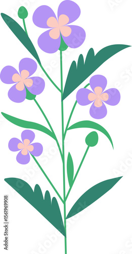 Lovely wild violet flower illustration perfect for spring and summer backgrounds

