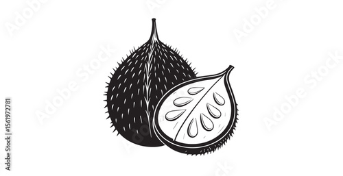 Spiky gac fruit and slice with seeds in a bold black and white silhouette style
