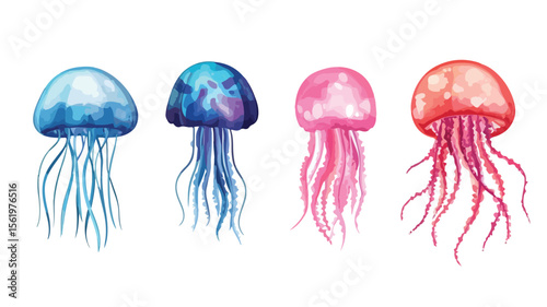Mesmerizing Jellyfish with Flowing Tentacles in Aquatic Environment
