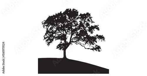 Majestic oak tree silhouette standing tall on a grassy hillside silhouette