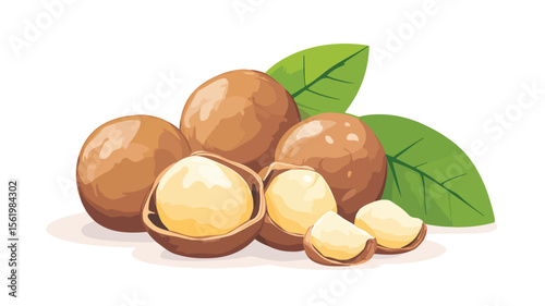 Fresh Raw Dry Macadamia Nuts in Nutshell - Natural Organic Snack Photography