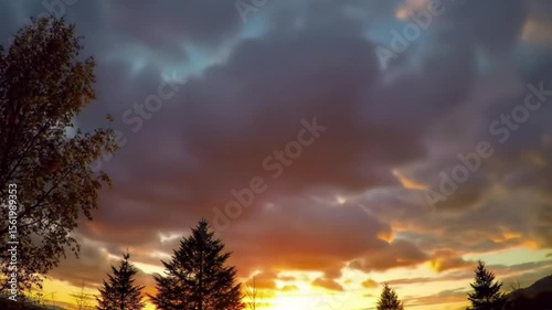 Beautiful wide shot of a dramatic sky during sunset with vibrant orange and purple clouds, silhouetted by treetops in the foreground.