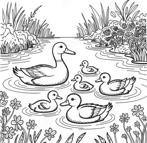 duck family in pond line art illustration premium quality