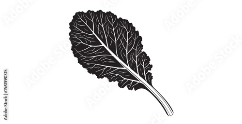 Detailed black and white illustration of a single beet leaf silhouette