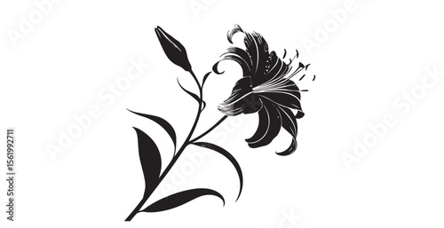 Cuadro en lienzo Elegant black lily flower and bud with detailed petal lines silhouette
