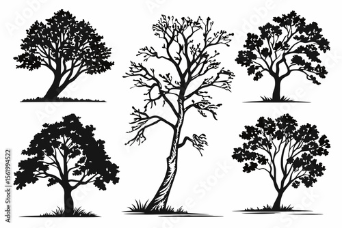 set of Ash tree vector silhouette illustration isolated on white background