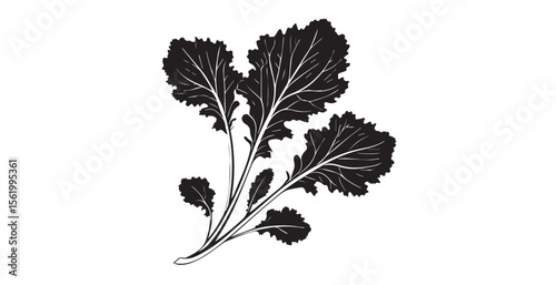 Detailed black silhouette of kale leaves on a white background