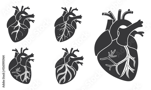 Stylized Anatomical Heart Vector Silhouettes for Medical and Creative Designs