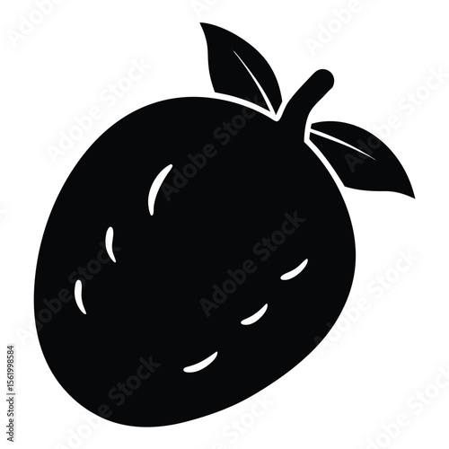 Silhouette of a Mango Fruit