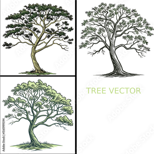 set of trees vector