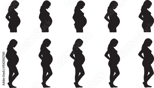 Pregnancy stages illustration, mother silhouette concept on white background