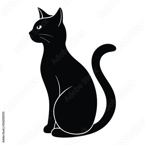 black cat on  white background