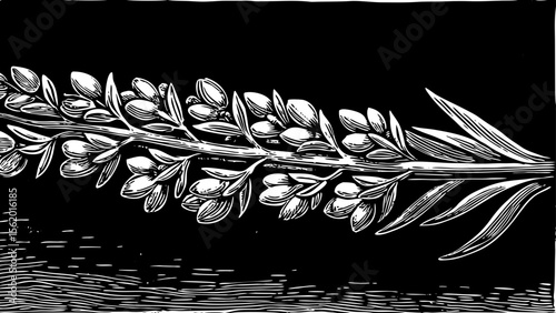 Lavender sprig with tiny blossoms and slender stem, perfect for aromatherapy labels, organic skincare branding, wedding stationery and subtle tattoos, a black and white line art