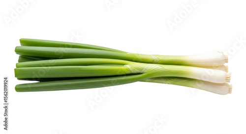 Quadro su tela Isolated Green Onions