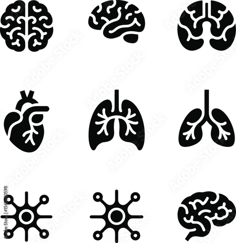 High-Quality Medical Organ Symbols.