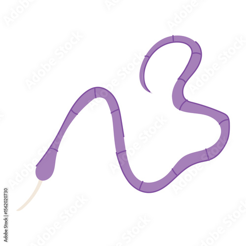 tapeworm parasite cartoon vector illustration