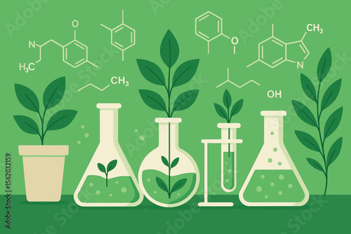 Plant biology and biochemistry research concept. Seedlings in lab flasks with chemical formula background. Vector illustration for science, biotechnology, and green chemistry.
