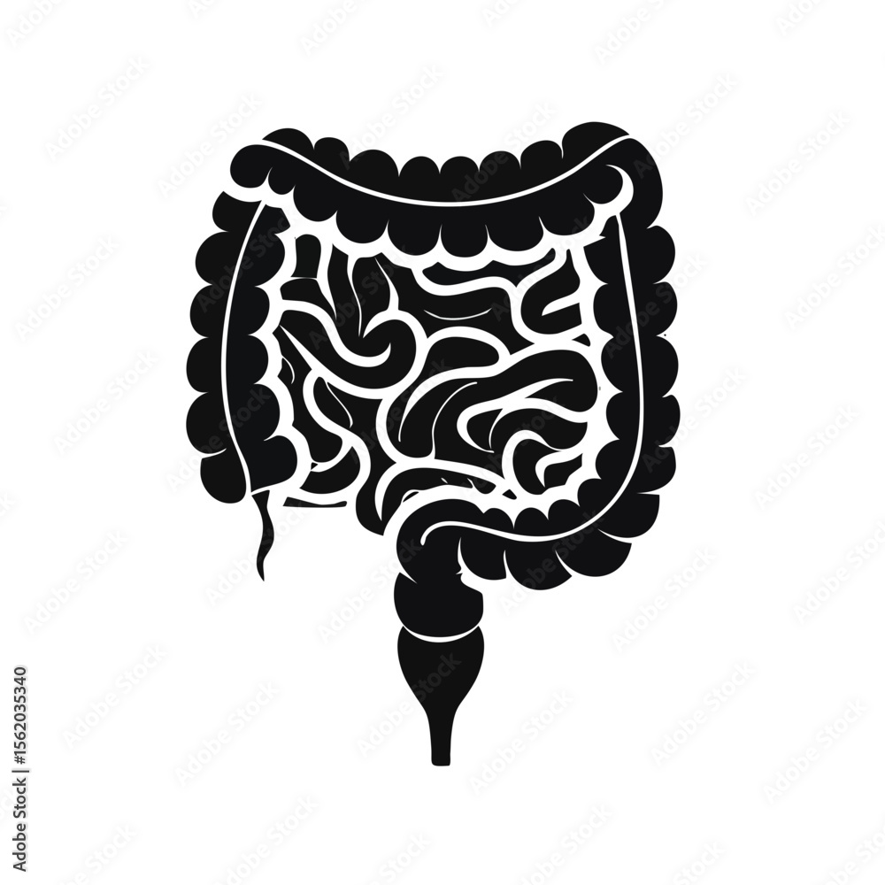 Fototapeta premium Human Intestines Black Glyph Icon (Color Changes Available in SVG)