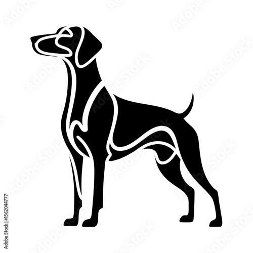 Elegant Vizsla dog breed silhouette. This stylized Vizsla image is perfect for pet lovers and dog breed enthusiasts. This graphic Vizsla design is ideal for logos, posters, or website decoration.