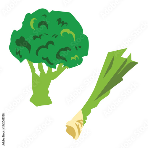 Broccoli and spring onion colorful simple illustration drawing isolated on white square background.