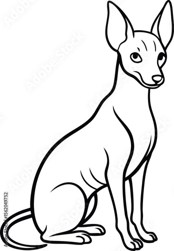 Xoloitzcuintli Sitting Vector Illustration of Rare Mexican Hairless Dog Isolated, Xoloitzcuintli Dog Clipart, Sitting Hairless Dog Vector, Mexican Dog Breed Drawing