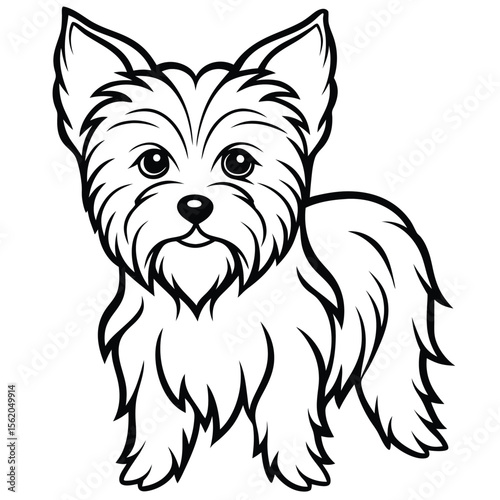 Stylish Yorkshire Terrier Vector Illustration with Long Silky Hair and Cute Bow
Yorkie Dog Clipart, Fancy Toy Dog Vector, Cute Yorkshire Terrier Drawing