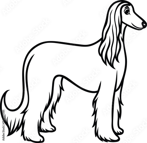 Afghan Hound Vector Illustration of Elegant Long-Haired Dog Breed Isolated on White
Afghan Hound Clipart, Elegant Dog Vector, Purebred Afghan Dog Drawing