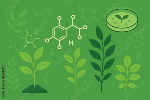 Green biotechnology concept with plant biology, chemical formula, petri dish, scientific research, genetics, molecular structure, agriculture, botany, eco-friendly innovation, flat vector illustration