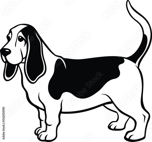 Funny Basset Hound Cartoon Vector Illustration with Tail Up and Long Ears, Cute Basset Hound Drawing, Cartoon Dog Outline Vector, Floppy Eared Pet Clipart

