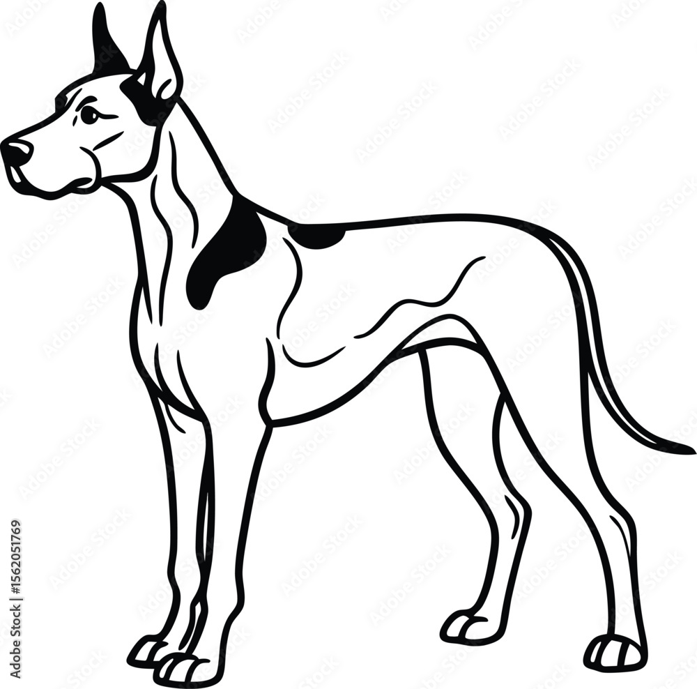 Obraz premium Great Dane Dog Vector Illustration of Giant Purebred Breed Standing in Side Profile Isolated on White Background, Great Dane Clipart, Cartoon Giant Dog Vector, Strong Tall Dog Sketch