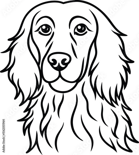 Irish Setter Vector Illustration Showing Full Body Side View and Elegant Dog Head Portrait with Long Hair in Line Art Style, Irish Setter Dog Clipart, Long Haired Hunting Dog Drawing, Cartoon Irish Se