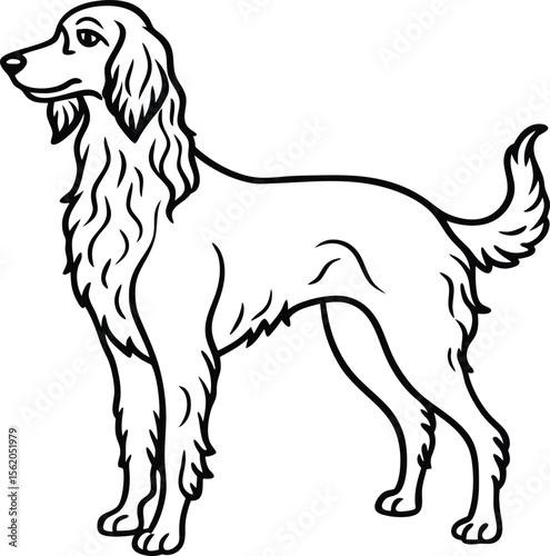 Irish Setter Vector Illustration Showing Full Body Side View and Elegant Dog Head Portrait with Long Hair in Line Art Style, Irish Setter Dog Clipart, Long Haired Hunting Dog Drawing, Cartoon Irish Se