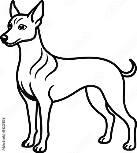 Peruvian Inca Orchid Dog Vector Illustration of Rare Hairless Breed in Side View Pose, Hairless Dog Clipart, Exotic Pet Vector, Peruvian Sighthound Drawing