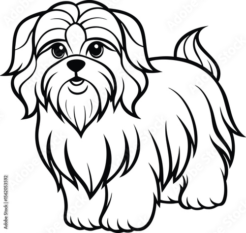 Stylish Shih Tzu Vector Illustration of Well-Groomed Toy Breed with Long Hair and Top Knot  Shih Tzu Dog with Hair Bow
Elegant Toy Dog Vector Art
Fluffy Lap Dog Clipart