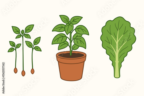 Indoor plant arrangement with shelves, hanging planter, and potted greenery vector icon isolated illustration