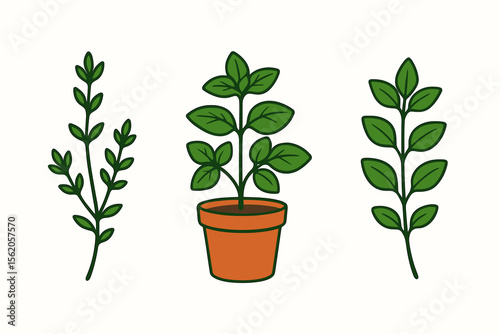 Growing vegetables at home - planters, pea plant, and trellis illustration vector icon isolated illustration