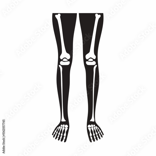 Human Lower Limbs Bones Black Glyph Icon (Color Changes Available in SVG)