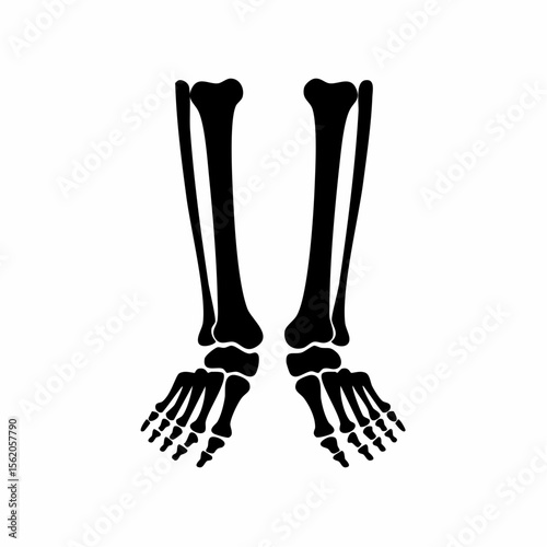 Human Leg Bones Icon - Black Glyph