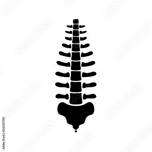 Human Vertebral Bones Spine Black Glyph Icon (Color Changes Available in SVG)